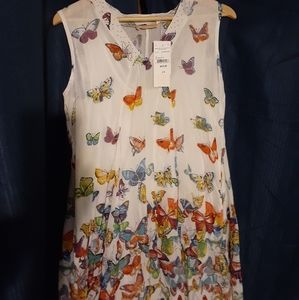 Traje de Mariposas